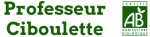 Logo Professeur Ciboulette